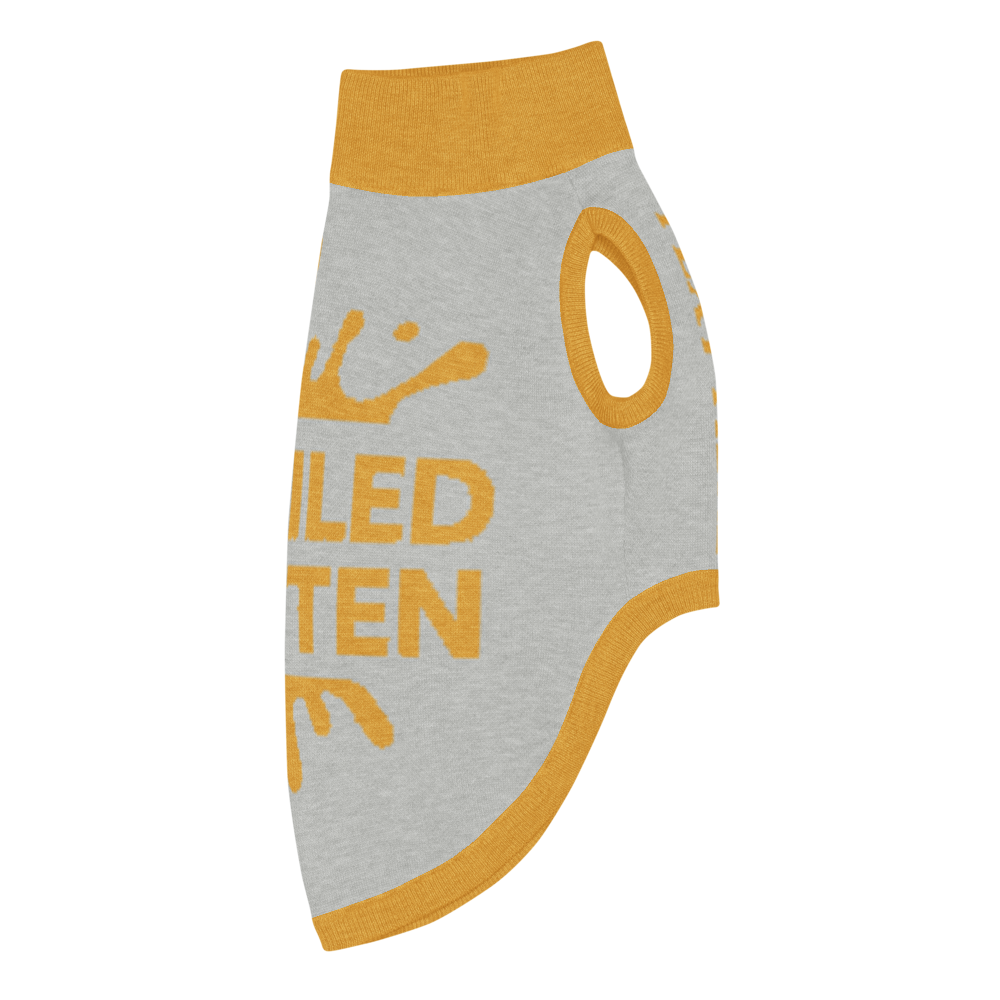 Gray pet outfit with yellow text and trim on a white background