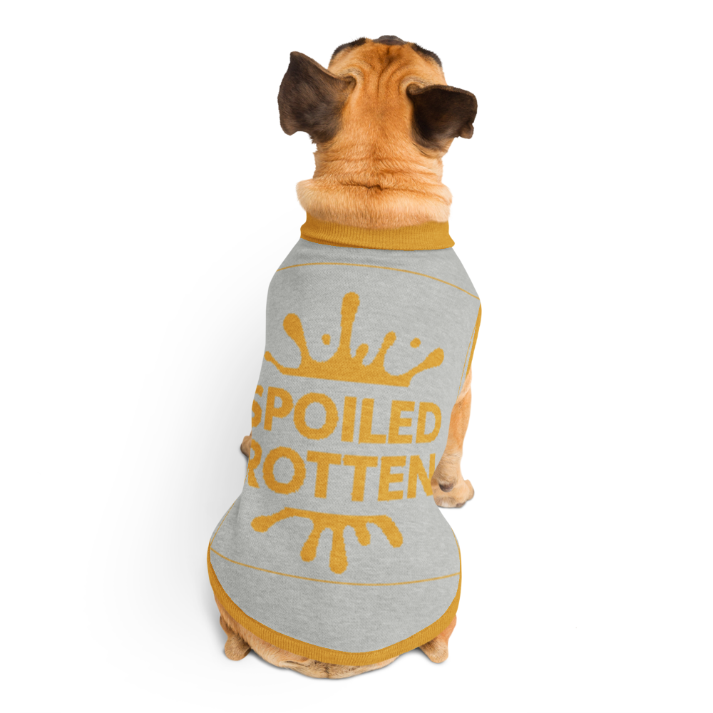 Personalized Dog sweater, Gray and Gold, Splashes with “SPOILED ROTTEN”, S, M