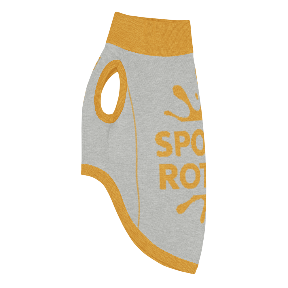 Gray dog sweater with yellow accents and 'Sporty' text on a white background