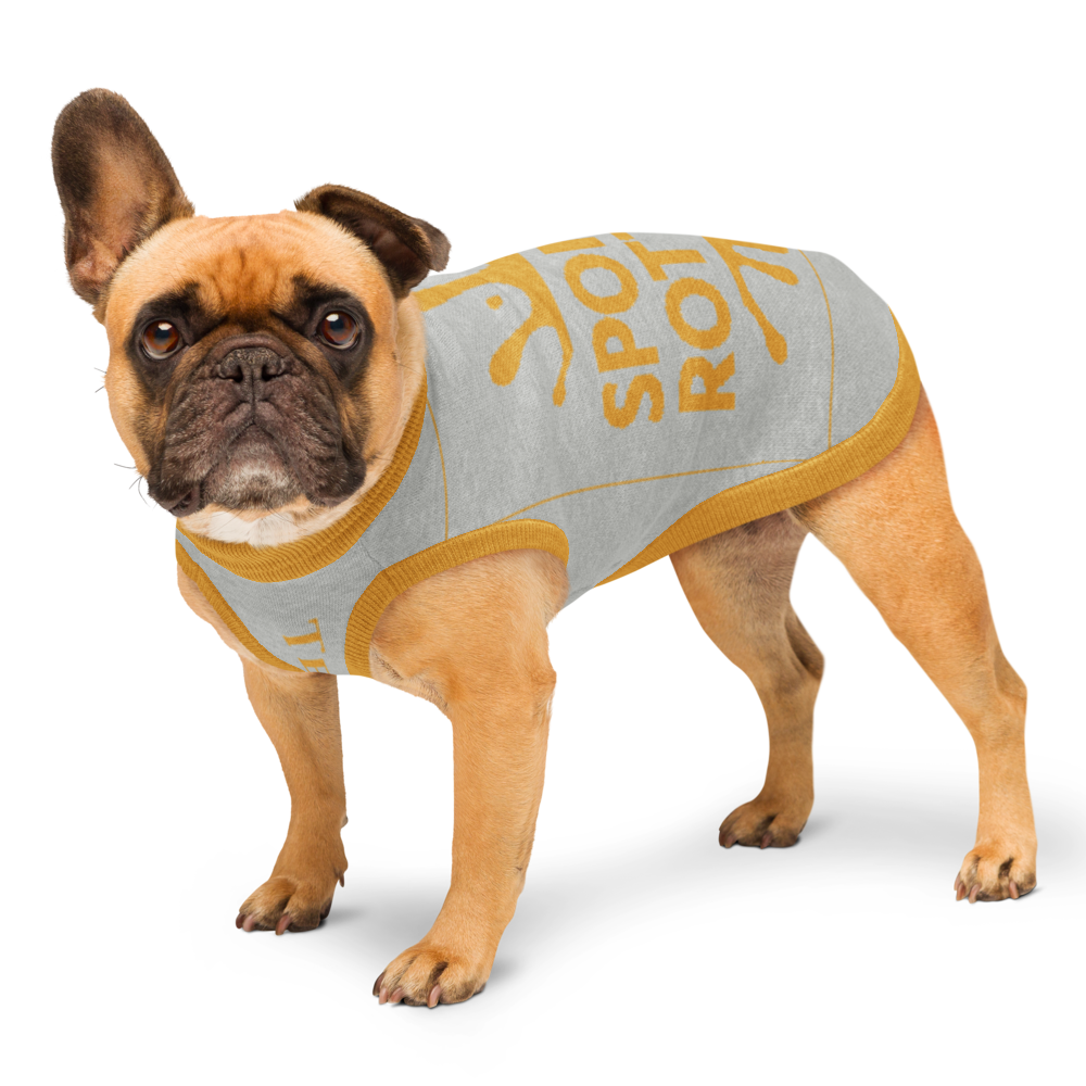 Personalized Dog sweater, Gray and Gold, Splashes with “SPOILED ROTTEN”, S, M